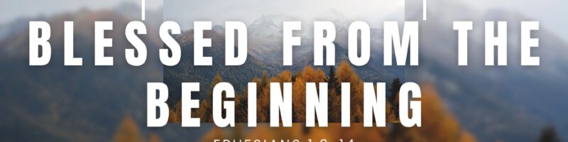 BLESSED FROM THE BEGINNING